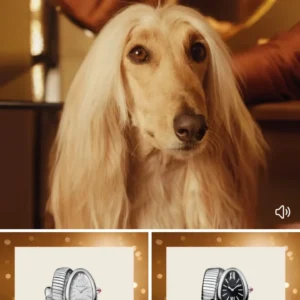 Chloe Bulgari Advertising